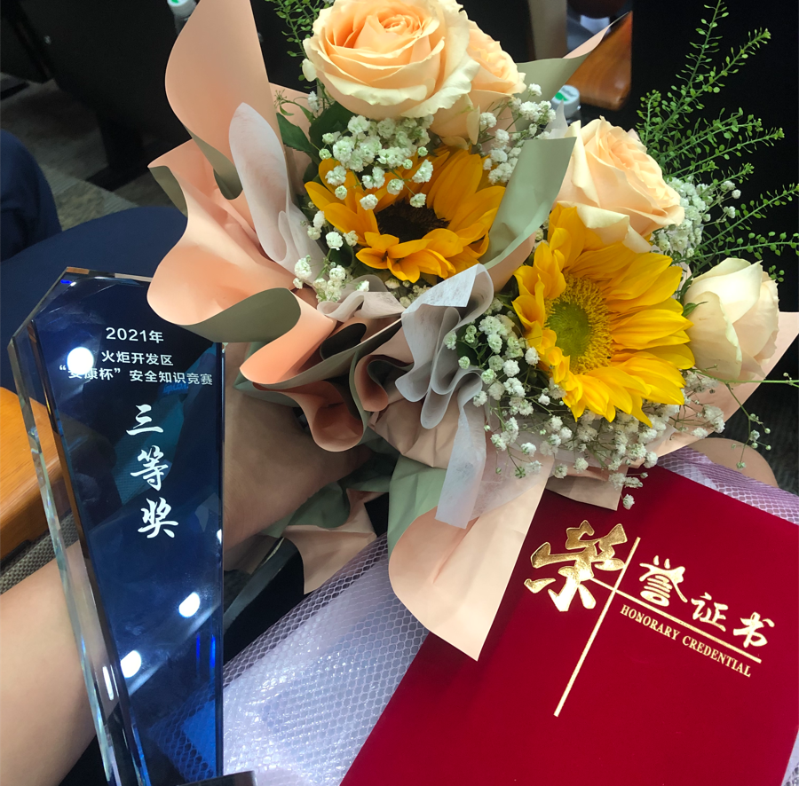 網(wǎng)站獎杯.png